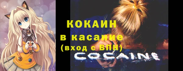 амф Гусь-Хрустальный
