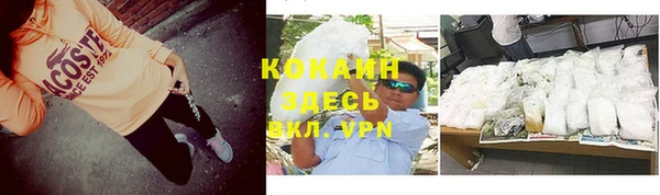 стаф Горняк