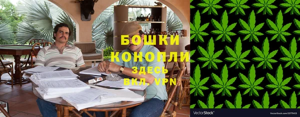 стаф Горняк