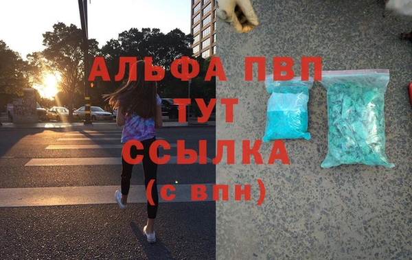 стаф Горняк