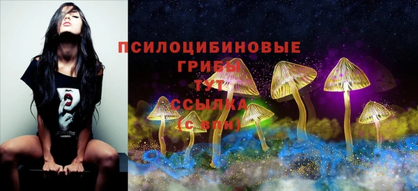 бутират Горно-Алтайск