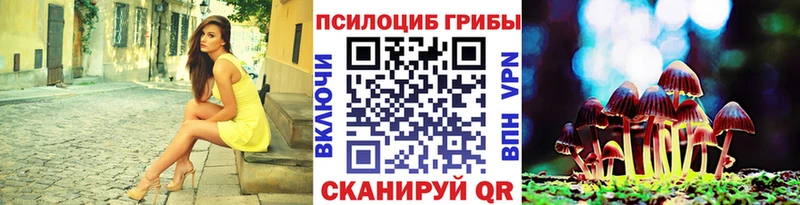 Псилоцибиновые грибы MAGIC MUSHROOMS  блэк спрут сайт  Джанкой 